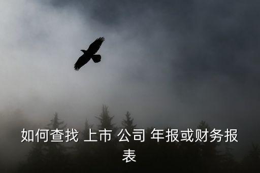 上市公司年報批量下載,納斯達(dá)克上市公司年報下載