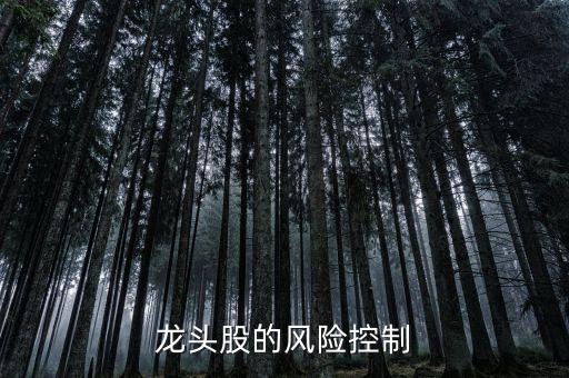 龍頭股的風(fēng)險(xiǎn)控制
