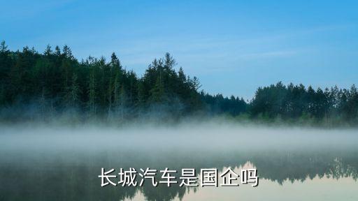 長(zhǎng)城汽車(chē)是國(guó)企嗎