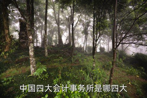 中國四大會計事務(wù)所是哪四大