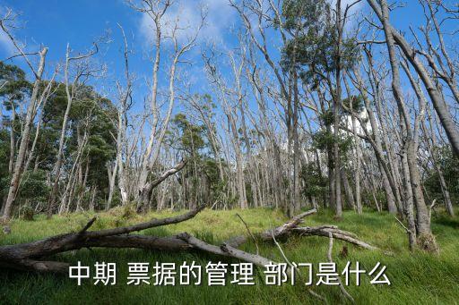 銀行票據(jù)融資業(yè)務在那個部門