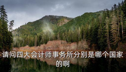 畢馬威中國(guó)主要客戶