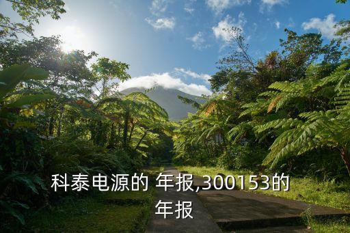 科泰電源的 年報(bào),300153的 年報(bào)