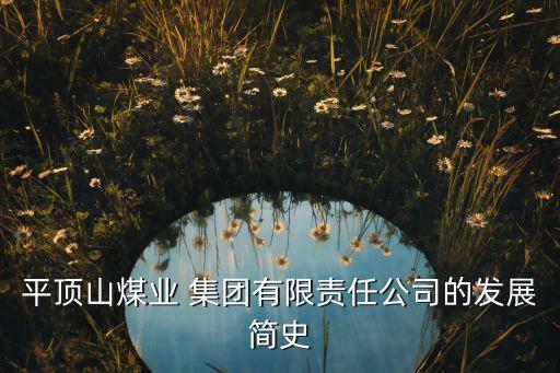 平煤集團大莊礦