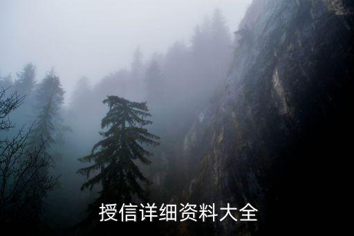  授信詳細資料大全