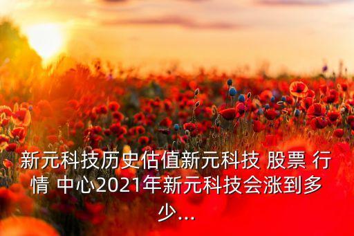 新元科技?xì)v史估值新元科技 股票 行情 中心2021年新元科技會(huì)漲到多少...