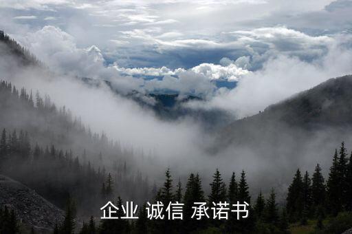 證券公司高級管理人員誠信經營承諾書