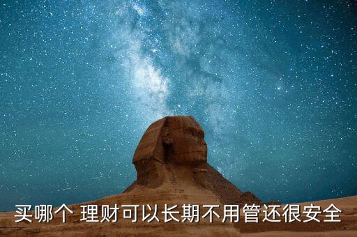 買哪個(gè) 理財(cái)可以長期不用管還很安全