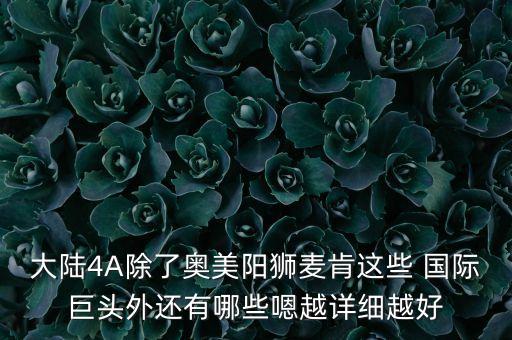 大陸4A除了奧美陽(yáng)獅麥肯這些 國(guó)際巨頭外還有哪些嗯越詳細(xì)越好