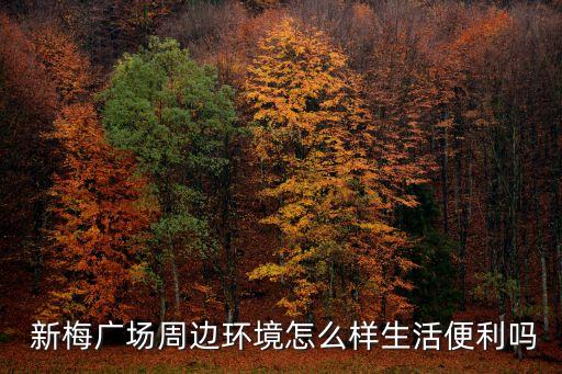  新梅廣場(chǎng)周邊環(huán)境怎么樣生活便利嗎