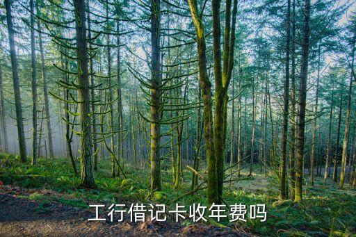 工商銀行怎么辦理免年費(fèi)的儲蓄卡
