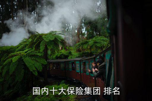國內(nèi)十大保險集團(tuán) 排名