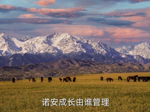  諾安成長(zhǎng)由誰管理