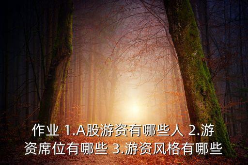 作業(yè) 1.A股游資有哪些人 2.游資席位有哪些 3.游資風格有哪些
