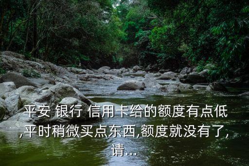  平安 銀行 信用卡給的額度有點(diǎn)低,平時稍微買點(diǎn)東西,額度就沒有了,請...