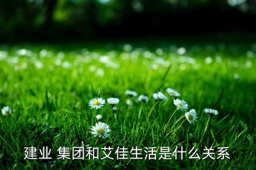 建業(yè) 集團和艾佳生活是什么關系