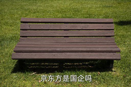  京東方是國(guó)企嗎