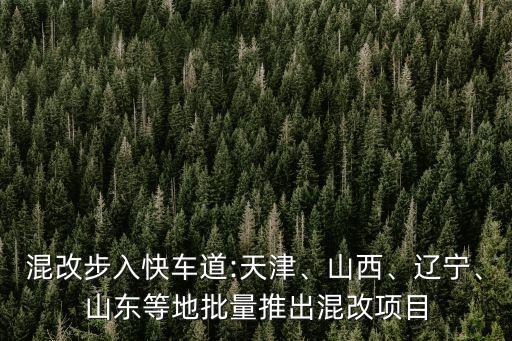 混改步入快車道:天津、山西、遼寧、山東等地批量推出混改項(xiàng)目
