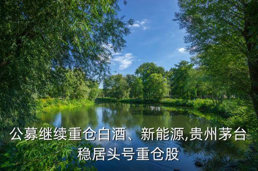 公募繼續(xù)重倉白酒、新能源,貴州茅臺穩(wěn)居頭號重倉股