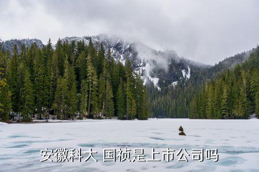 國禎集團標志,二十國集團標志每年變嗎