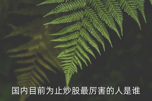 中國(guó)股票第一人,股票一人多戶(hù)