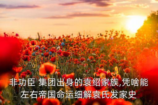 豪門集團跑路,豪門后媽跑路失敗