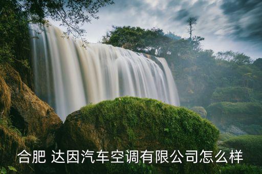 合肥 達(dá)因汽車(chē)空調(diào)有限公司怎么樣