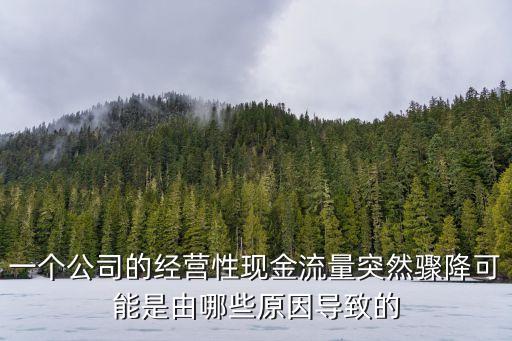 一個公司的經(jīng)營性現(xiàn)金流量突然驟降可能是由哪些原因導致的