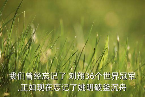 ?？导瘓F(tuán)劉翔,中國交通集團(tuán) 劉翔