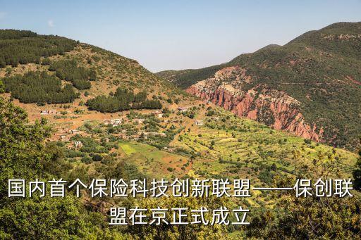 國內(nèi)首個(gè)保險(xiǎn)科技創(chuàng)新聯(lián)盟——保創(chuàng)聯(lián)盟在京正式成立
