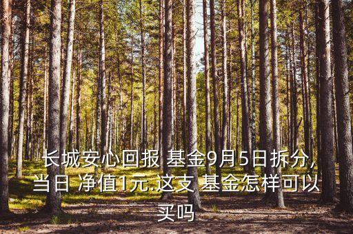  長(zhǎng)城安心回報(bào) 基金9月5日拆分,當(dāng)日 凈值1元.這支 基金怎樣可以買(mǎi)嗎