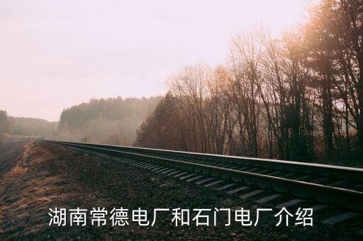 湖南常德電廠和石門(mén)電廠介紹