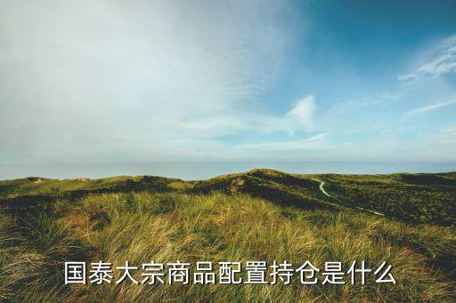  國(guó)泰大宗商品配置持倉是什么