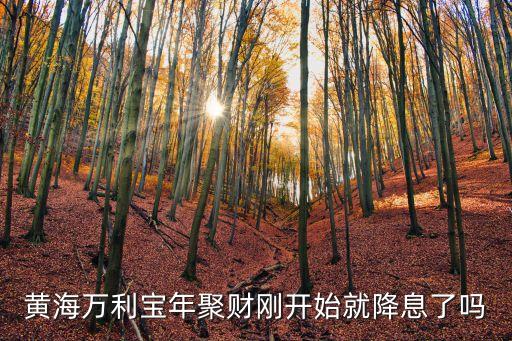 黃海萬(wàn)利寶年聚財(cái)剛開始就降息了嗎