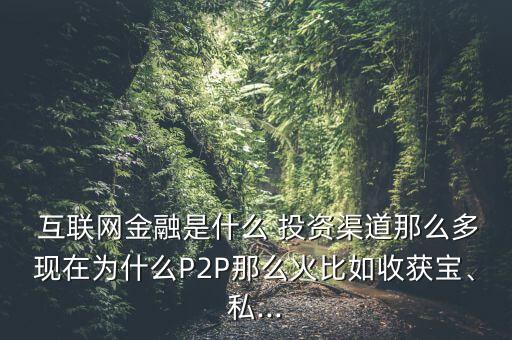  互聯(lián)網(wǎng)金融是什么 投資渠道那么多現(xiàn)在為什么P2P那么火比如收獲寶、私...