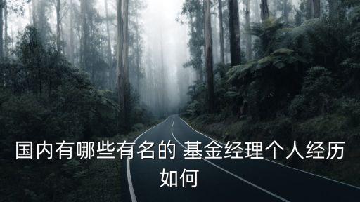 國內有哪些有名的 基金經(jīng)理個人經(jīng)歷如何