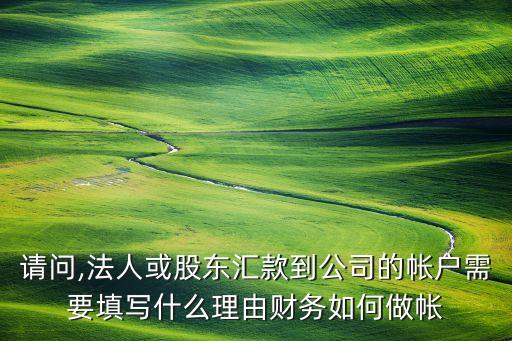 請問,法人或股東匯款到公司的帳戶需要填寫什么理由財務(wù)如何做帳