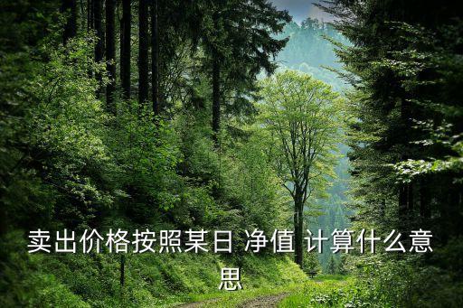 賣出價(jià)格按照某日 凈值 計(jì)算什么意思