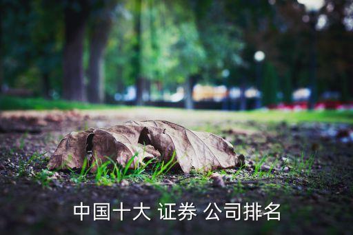 中國(guó)十大 證券 公司排名