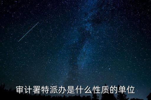 審計(jì)署特派辦是什么性質(zhì)的單位