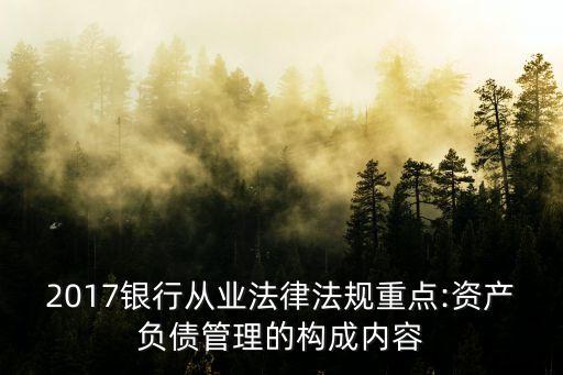 2017銀行從業(yè)法律法規(guī)重點:資產負債管理的構成內容