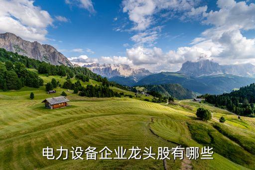 平安集團(tuán)收購許繼電氣