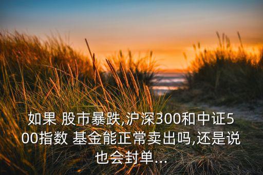 如果 股市暴跌,滬深300和中證500指數(shù) 基金能正常賣出嗎,還是說(shuō)也會(huì)封單...