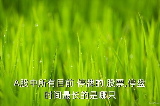 A股中所有目前 停牌的 股票,停盤(pán)時(shí)間最長(zhǎng)的是哪只