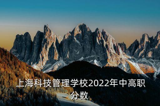 上海科技管理學校2022年中高職分數(shù)