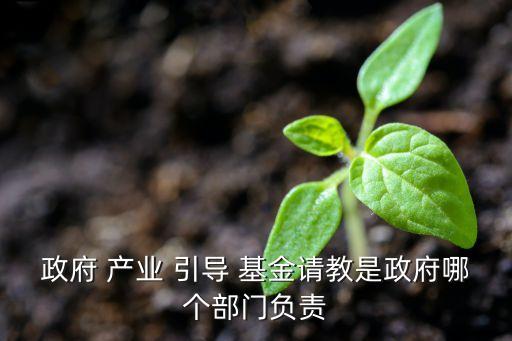 臨沂市產(chǎn)業(yè)引導基金,產(chǎn)業(yè)引導基金是什么意思