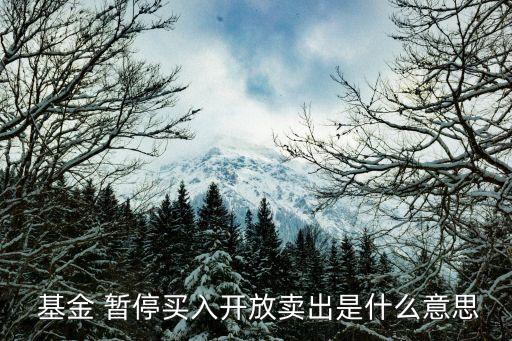  基金 暫停買入開(kāi)放賣出是什么意思