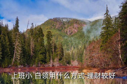 如何白領(lǐng)在線理財投資,白領(lǐng)在線基金理財平臺