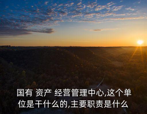  國有 資產(chǎn) 經(jīng)營管理中心,這個(gè)單位是干什么的,主要職責(zé)是什么