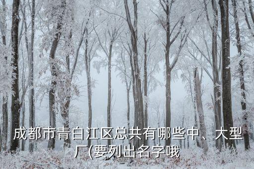  成都市青白江區(qū)總共有哪些中、大型廠(要列出名字哦